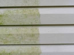 Siding, Cleaning, Siding Cleaning, Moss, Dirty siding, house, house clean