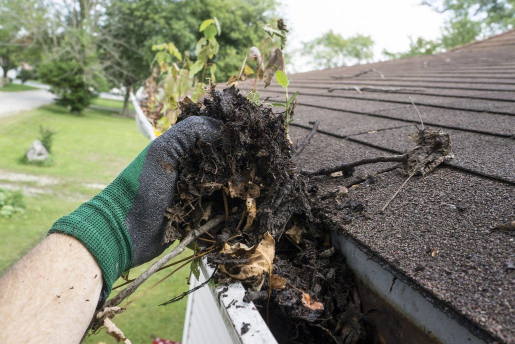Gutters, gutter cleaning, pine needles, pine cleaning, house restore, restoration